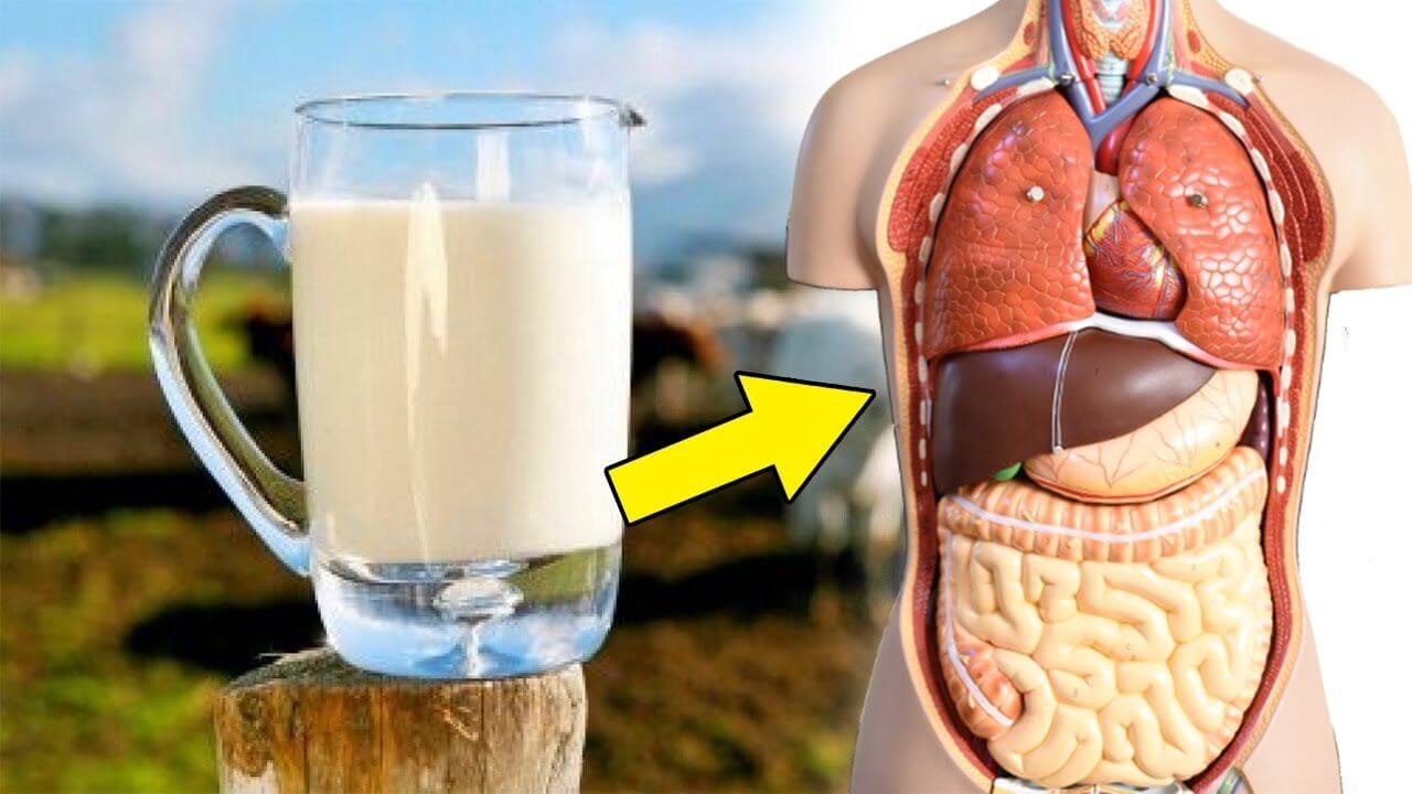 Sữa non tốt cho sức khỏe